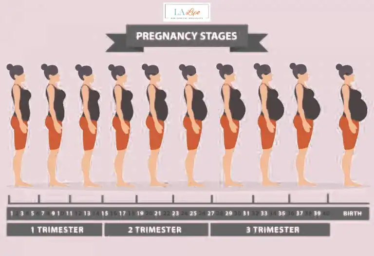 First Trimester (Weeks 1–12): Early Changes You Might Not Notice Beaconsfield